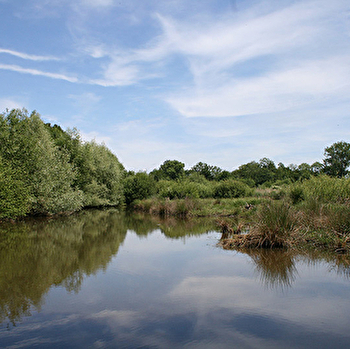 Le Marais de Montceaux-L'Etoile - MONTCEAUX-L'ETOILE