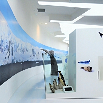 Musée de l'Espace des Mondes Polaires - PREMANON