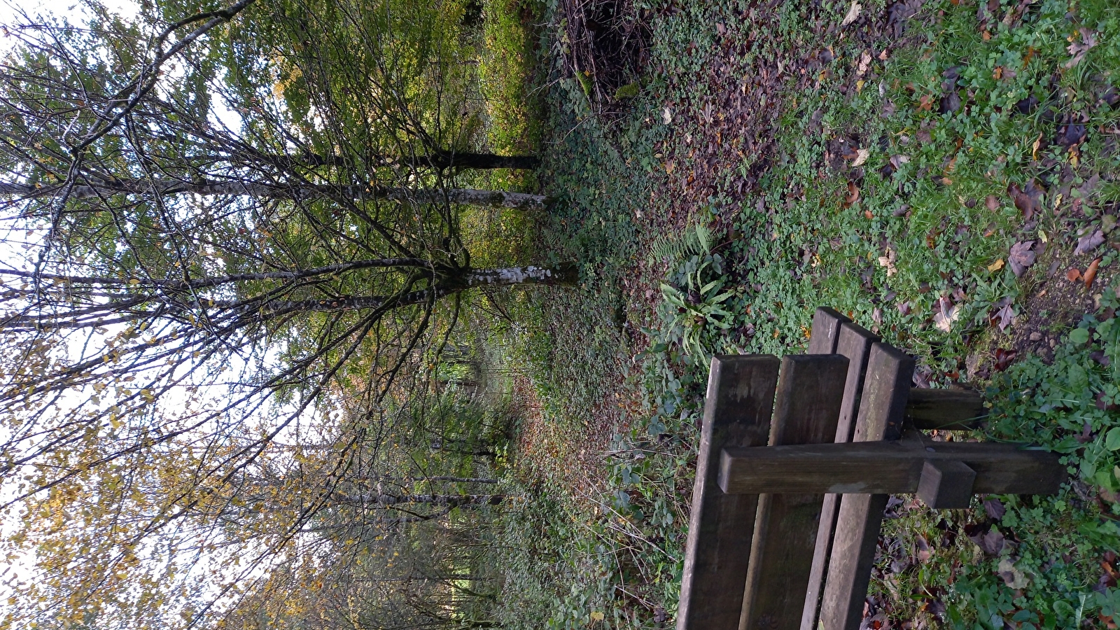 Arboretum du Lison à Nans-sous-Sainte-Anne