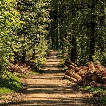 Gite au bois de Luzy - LUZY