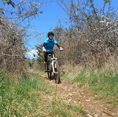 Rando VTT des Vignes 'Côte de Nuits' 