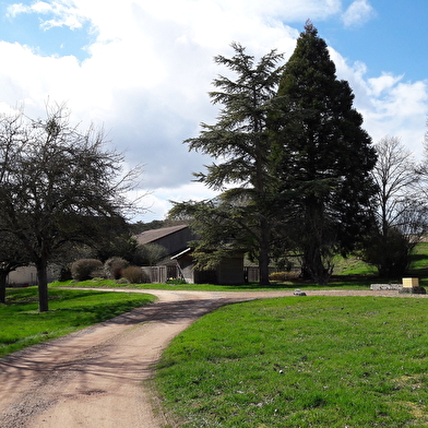 Château  Favray