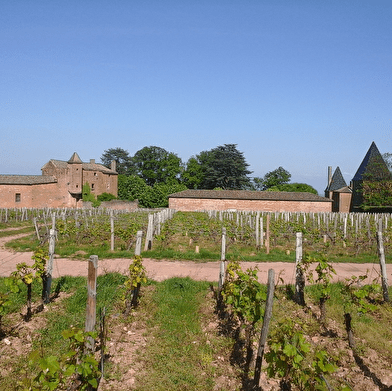 Château de Vinzelles