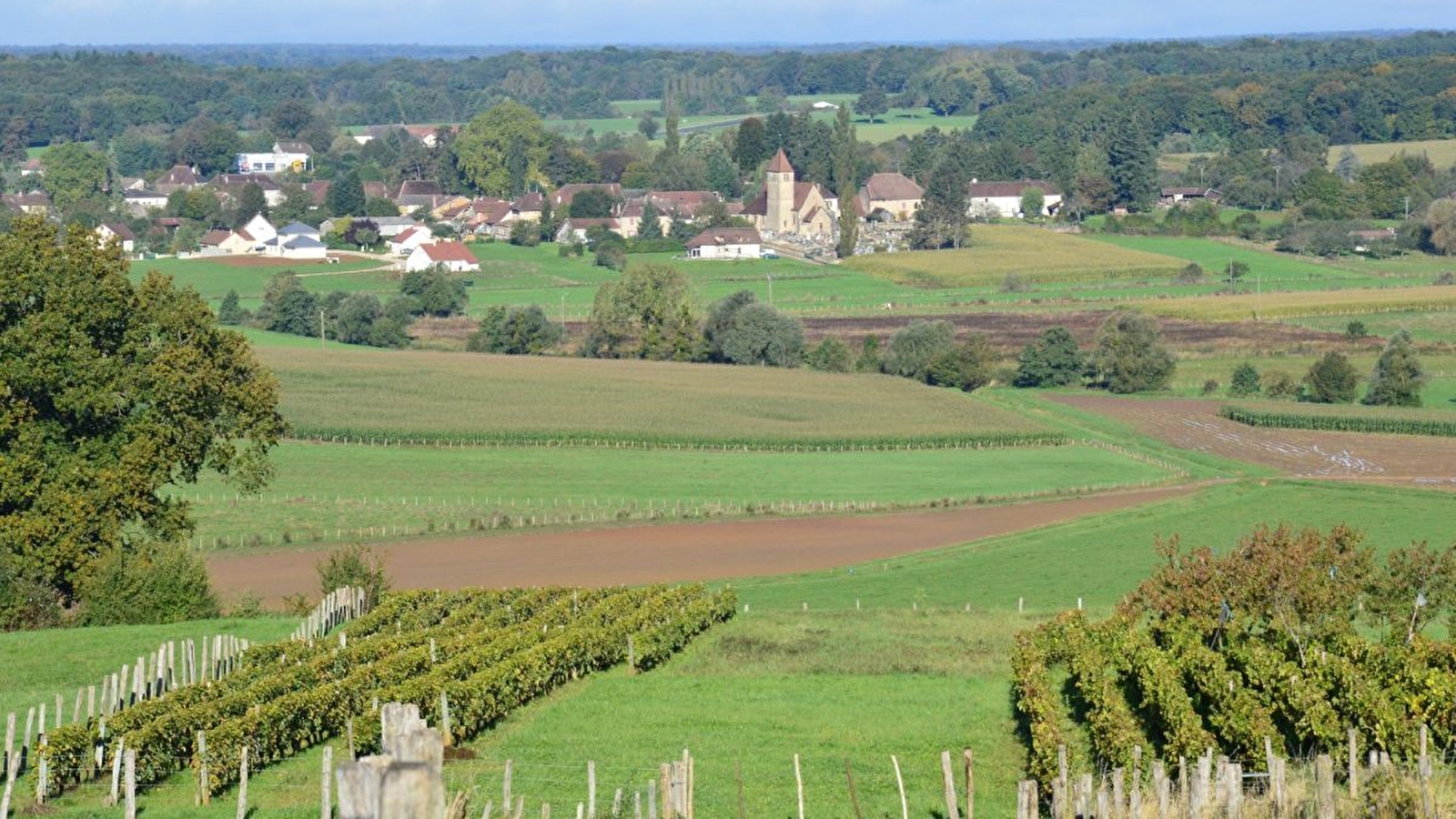 Repas champêtre