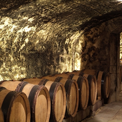 Hôtel-Dieu - Hospices de Beaune
Programmation 2024 - CHARITÉ
Ateliers des sens 'Arômes des caves'