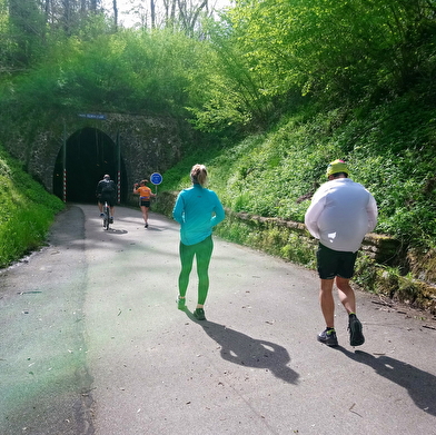 Le Tunnel du Bois Clair