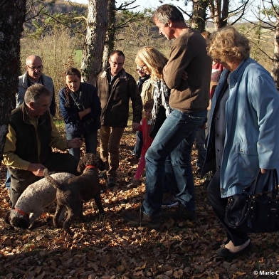 Cavage de la truffe de Bourgogne - sur réservation