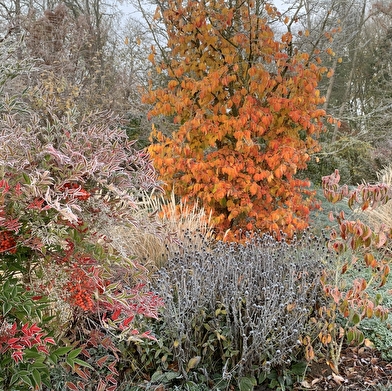 Parc du château de Courterolles