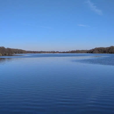 Etang Le Rousset