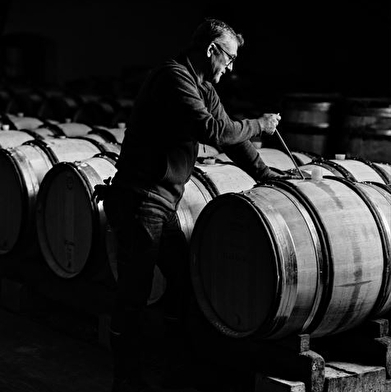 Domaine Chanson - Visite des caves & dégustation spéciale Vente des Vins 2025 de 6 grands vins