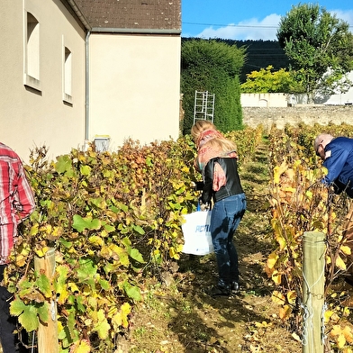 MISSION VIGNERON l'âme d'un terroir, le défi entre vos mains