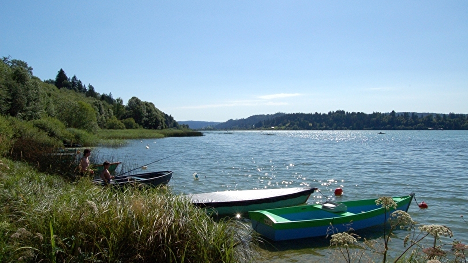 Lac de Saint-Point