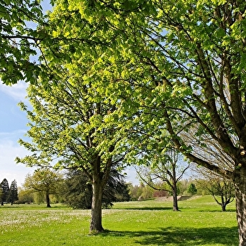 Parc du Moulin Liron - Docteur Drapier - PARAY-LE-MONIAL