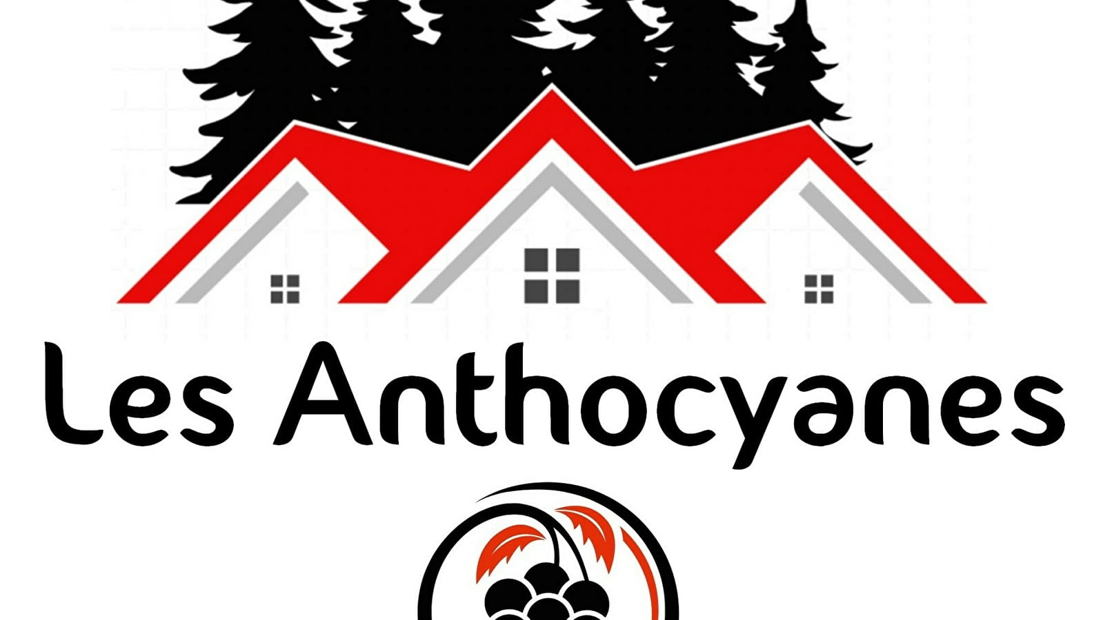 Les Anthocyanes