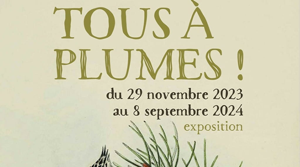 Exposition : Boules de plumes Du 29/11/2023 au 8/9/2024