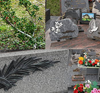 La faune et la flore au cimetière de Bellechaume - BELLECHAUME