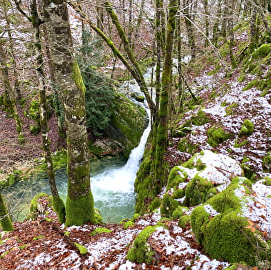 Source du Bief de la Ruine et Creux des Joyaux