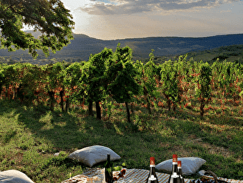 Pique-nique bistronomique dans les vignes - BEAUNE