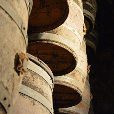 Domaine de la Petite Marne - Noir Frères