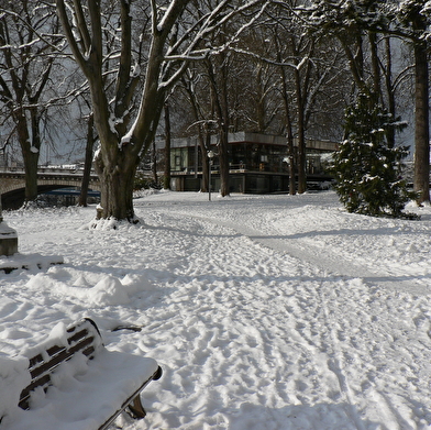 De la feuille à la pierre : Trésors de nos parcs et jardins publics