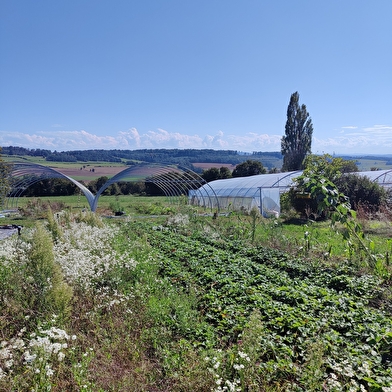 Les jardins de Linette