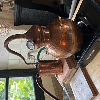Créez votre gin artisanal - ASQUINS
