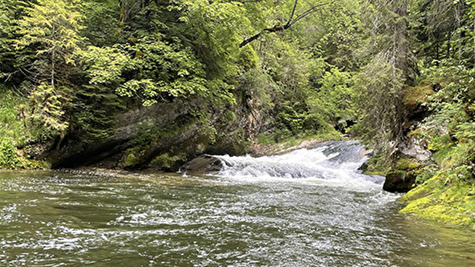 Doubs Jura Pêche