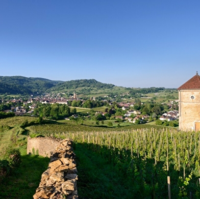 Domaine André et Mireille Tissot