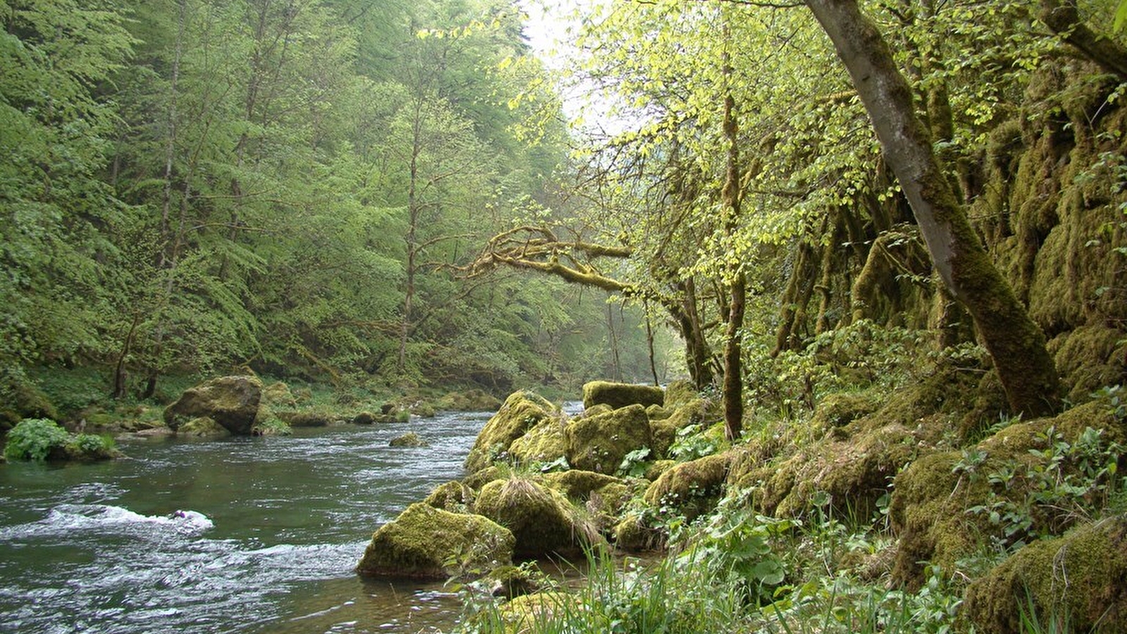 Les Gorges du Doubs