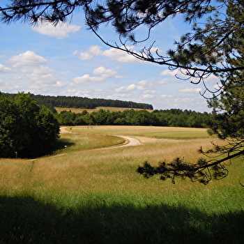 Parc de la Combe à la Serpent - DIJON