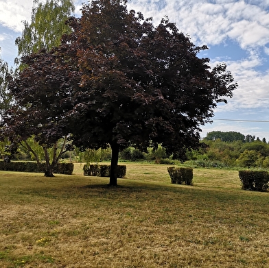 Camping municipal Moulin Naudin