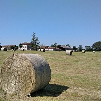 HAUTEFOND - PARAY-LE-MONIAL