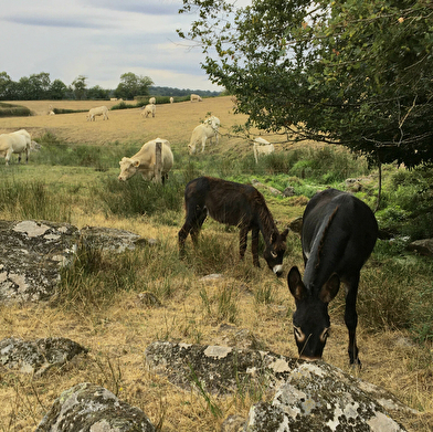 La Grange - Les Gîtes du Moulin de Poil