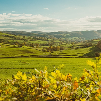 Marche Le Creusot - Autun