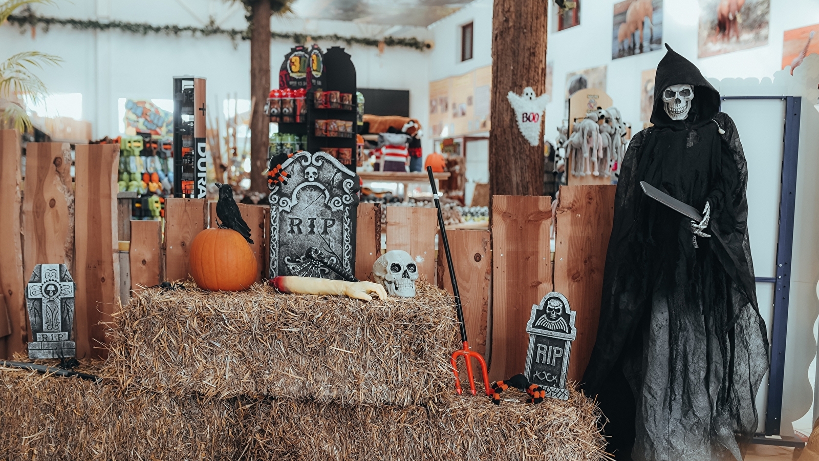 Halloween à Touroparc