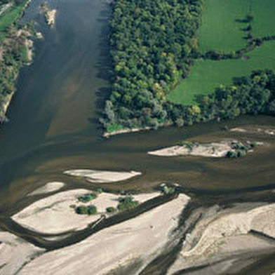 Le Bec d'Allier, site WWF