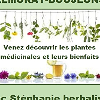Rendez-vous aux jardins - La Maison du Patrimoine - REMORAY-BOUJEONS