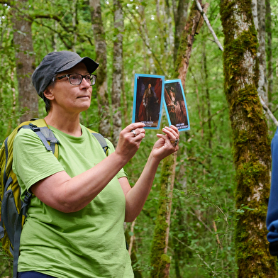 Jeu de piste 'Traces et indices de présence' au Parc national de forêts