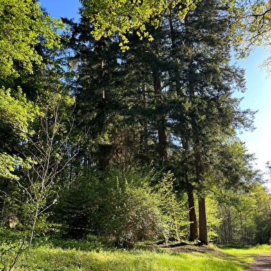 Festival de l'Arboretum de Pézanin