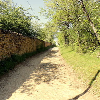 SM3 - Saint-Martin-Belle-Roche