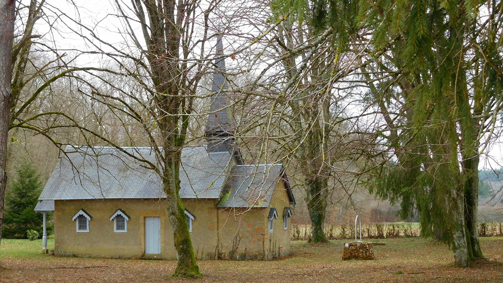 Entre mares et forêts