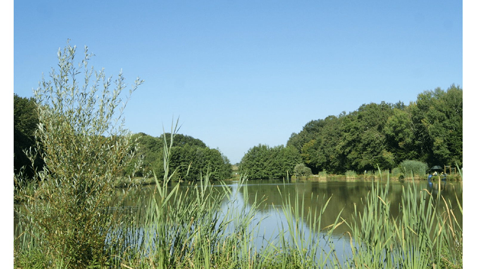 Etang de la Galette