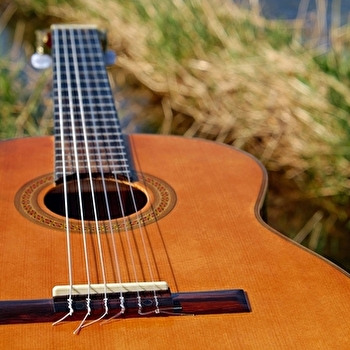 Concert du duo 'Bluegrass' - DECIZE