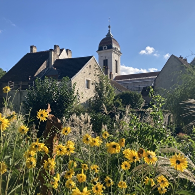 Visite guidée du village de Pesmes