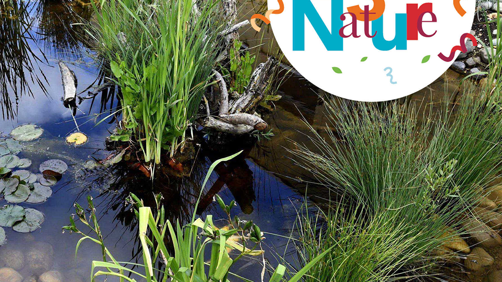 CHANTIER PARTICIPATIF 123 NATURE : SPÉCIAL MARE