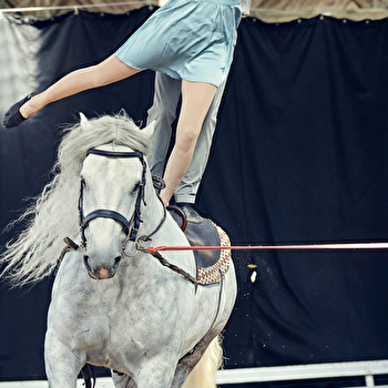 Cabaret Equestre - LAIZE