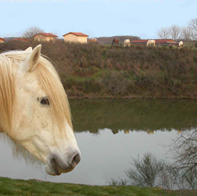 Le Moulin du Roy (hébergement)