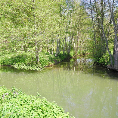 Sentier des hérons