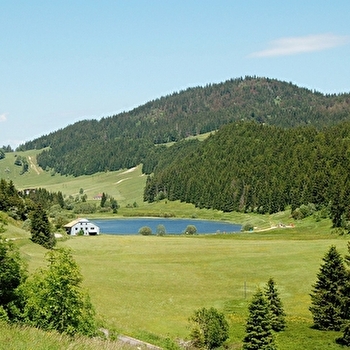 Tourbière de la combe du lac à Lamoura - LAMOURA
