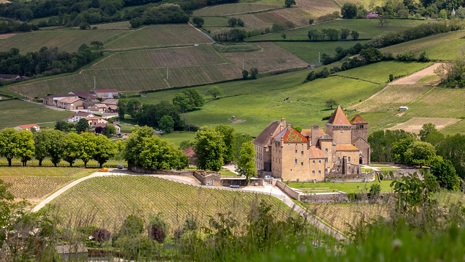 Par monts et par vignes